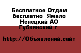 Бесплатное Отдам бесплатно. Ямало-Ненецкий АО,Губкинский г.